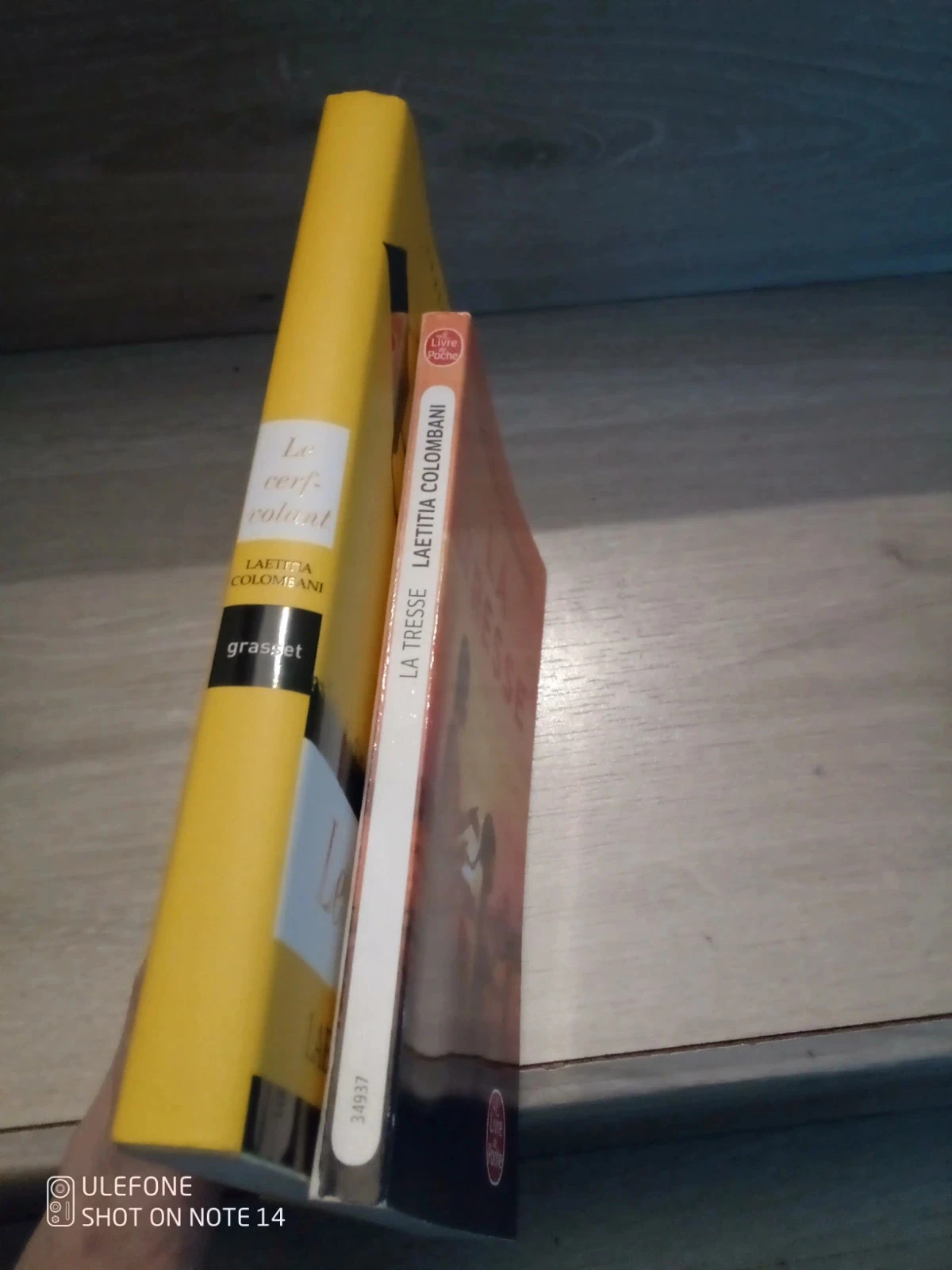 Lot de 2 romans la tresse + le cerf volant – photo 2